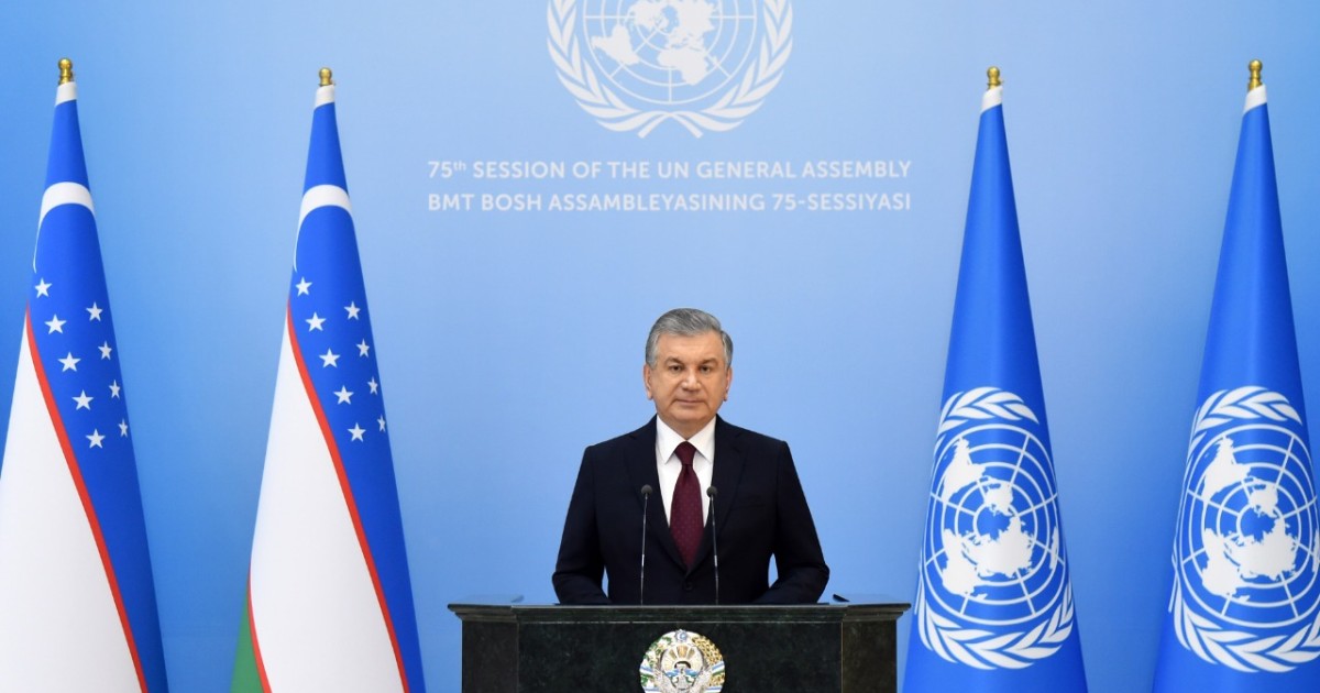 UN General Assembly