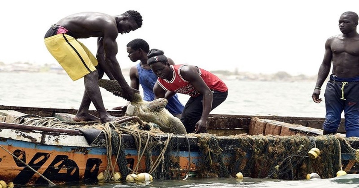 Senegal