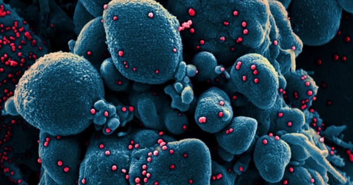 Pandemic