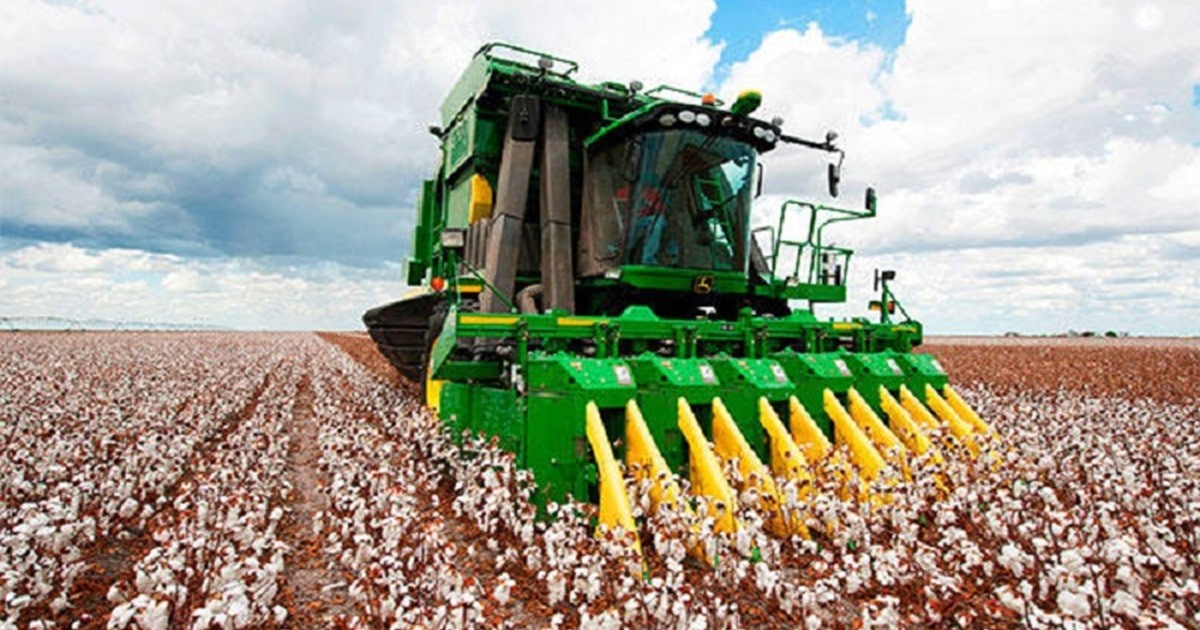Agriculture