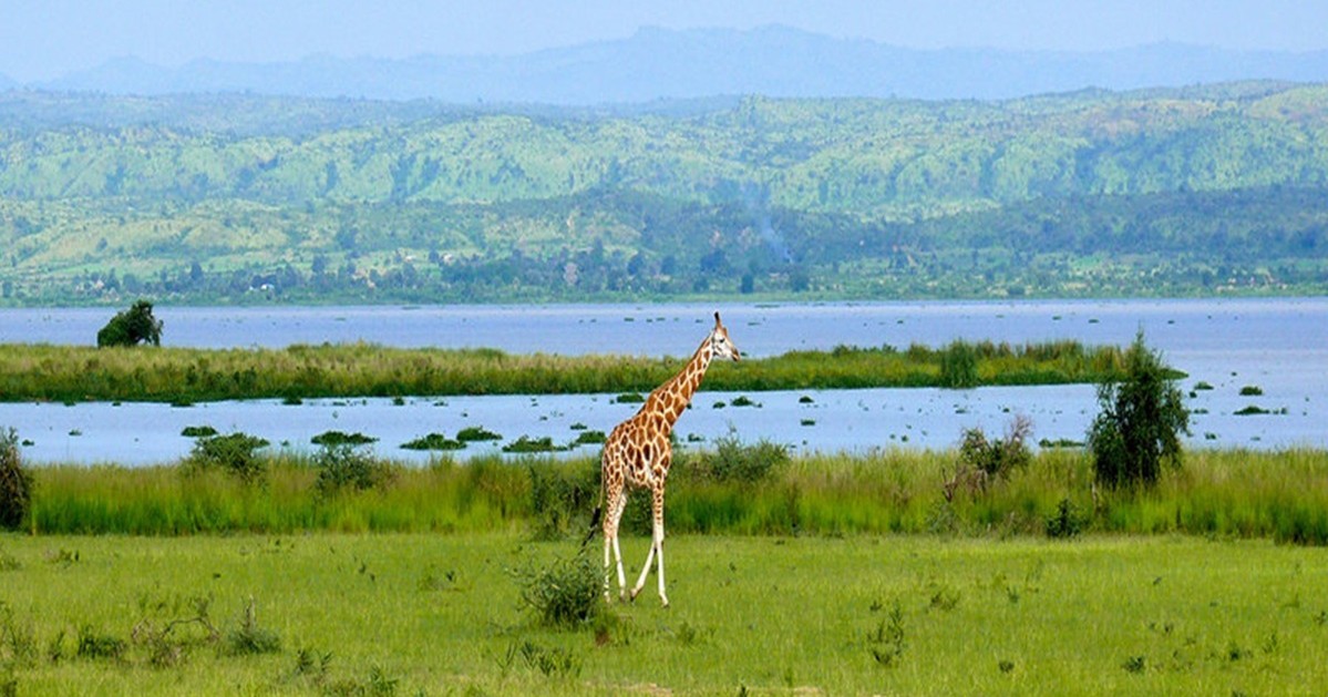 Uganda
