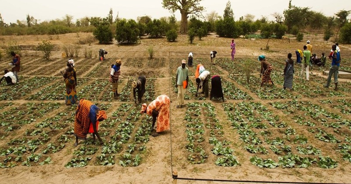 Senegal