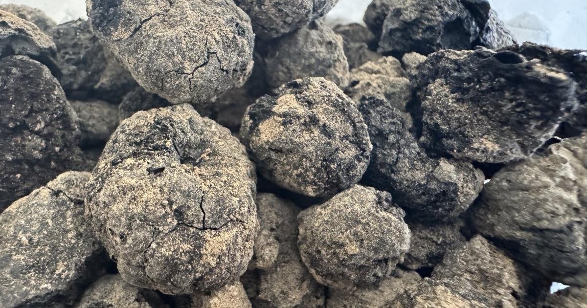Carbonised Figs